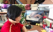 设计活动有方法，落实要素促能力 ——记中年级语文教研活动